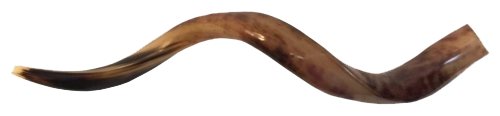 Click to Blast the Shofar!